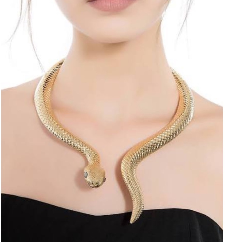 🪱💕Fashion Snake Collar